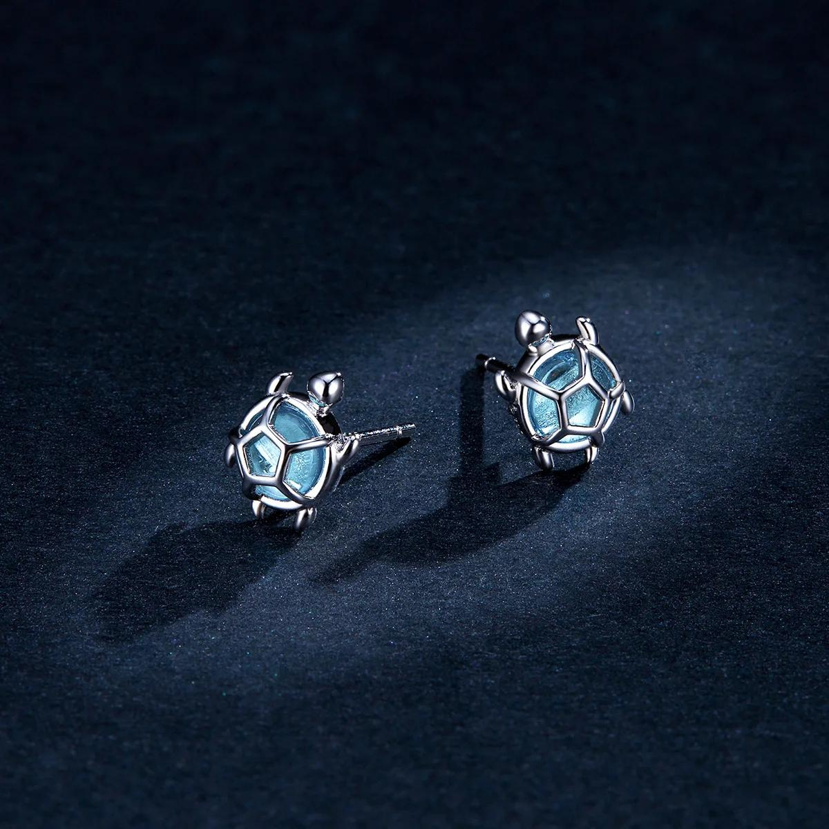 Aretes Tortugas - Plata .925