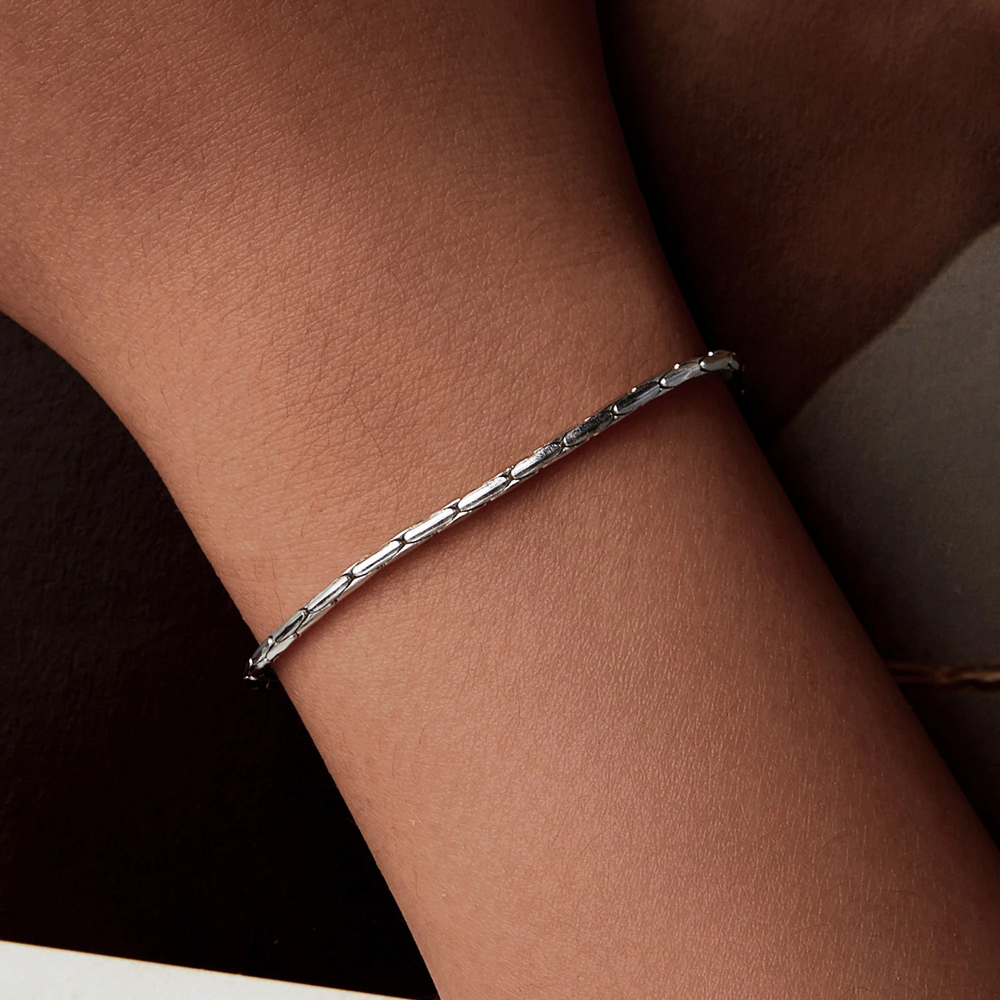 Pulsera Serpiente - Plata .925