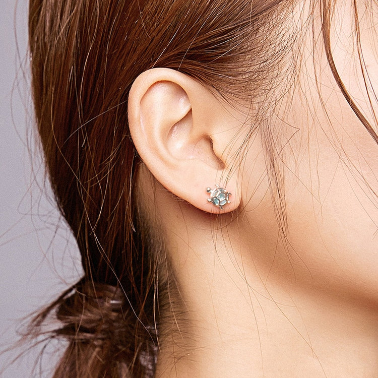 Aretes Tortugas - Plata .925