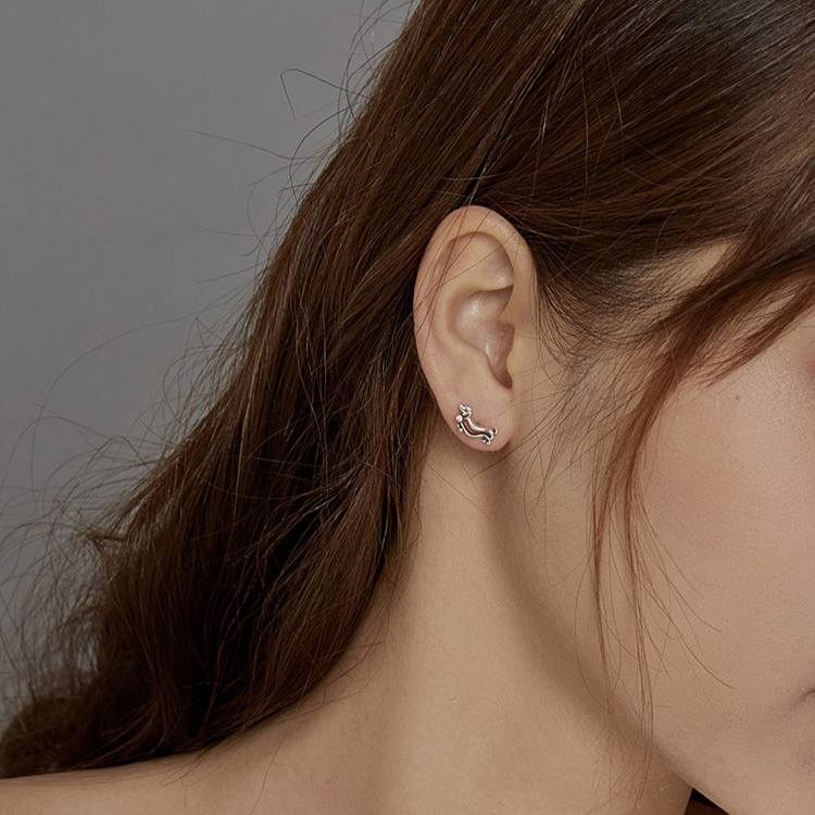 Aretes Jocho Modelo