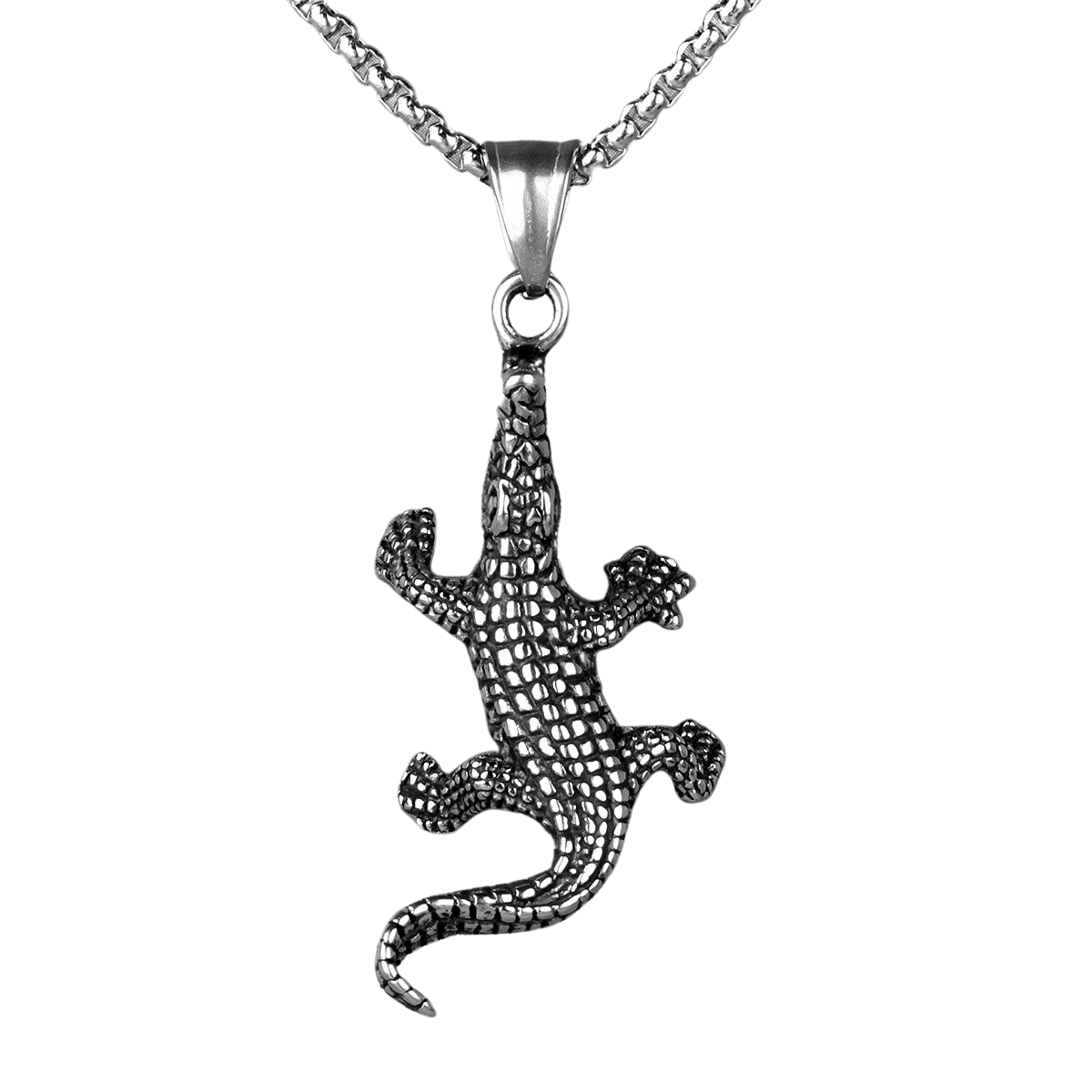 Collar Cocodrilo - Acero Inox.