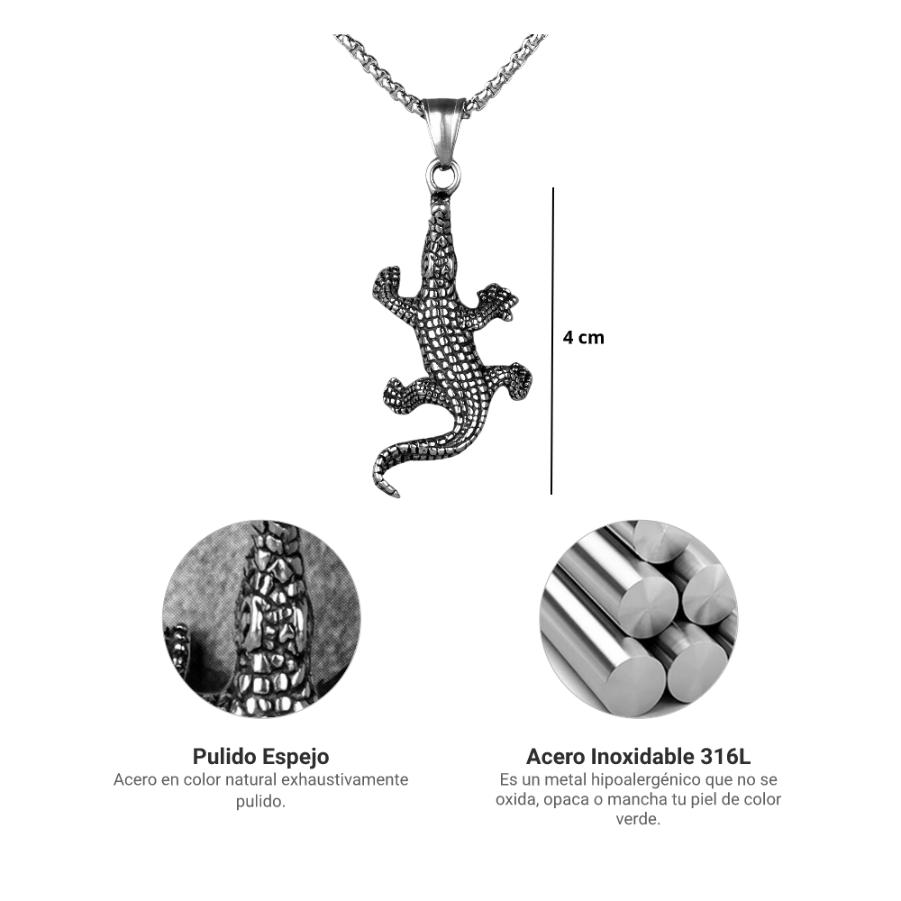 Collar Cocodrilo - Acero Inox.