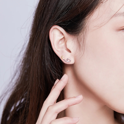 Aretes Latidos al Aire - Plata .925