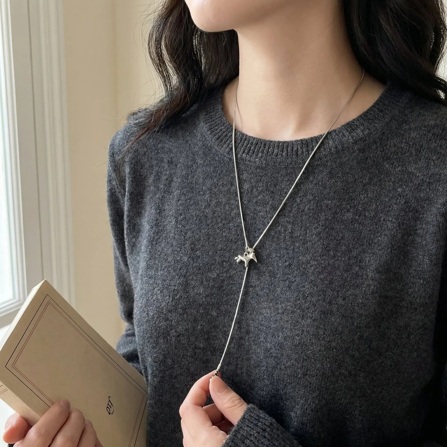 Collar Pony - Acero Inox.